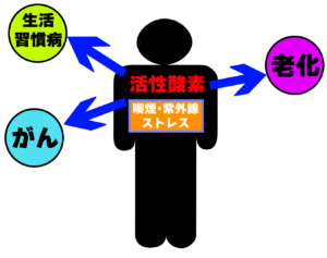 菊名の歯医者、ココセトデンタルクリニックでコーヒーが歯周病予防になる？コーヒーと歯周病の関係性を解説